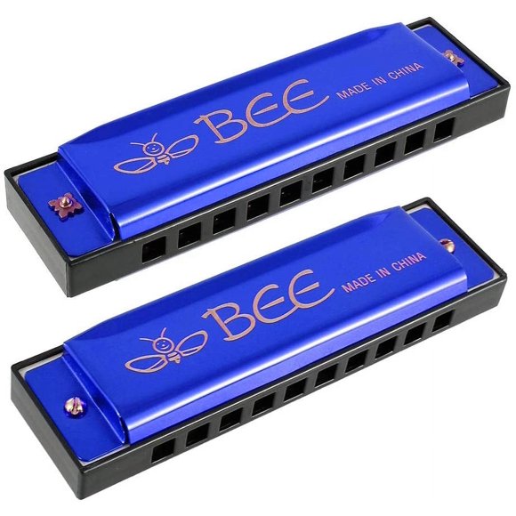 RELAX 2 Pcs Harmonica for Beginner 10 Holes 20 Tunes Mouth Organ Key of C Blues Harmonica for Kids Adults Performers Gift (Blue)