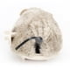 thumbnail image 2 of Correrá un pequeño ratón de peluche interactivo para mascotas. oso de fresa Juguete, 2 of 6