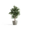 thumbnail image 4 of Ecopots Stockholm Durable Modern Round Indoor/Outdoor Recycled Based Composite Flower Pot Planter, Taupe, 12", 4 of 4