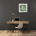 thumbnail image 3 of Zarris, Chariklia 15x15 White Modern Wood Framed Museum Art Print Titled - Greenery IV, 3 of 4
