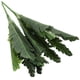 thumbnail image 3 of 2 plantas de serpiente artificiales, sansevieria falsa, plantas artificiales en maceta para interior y exterior., 3 of 5