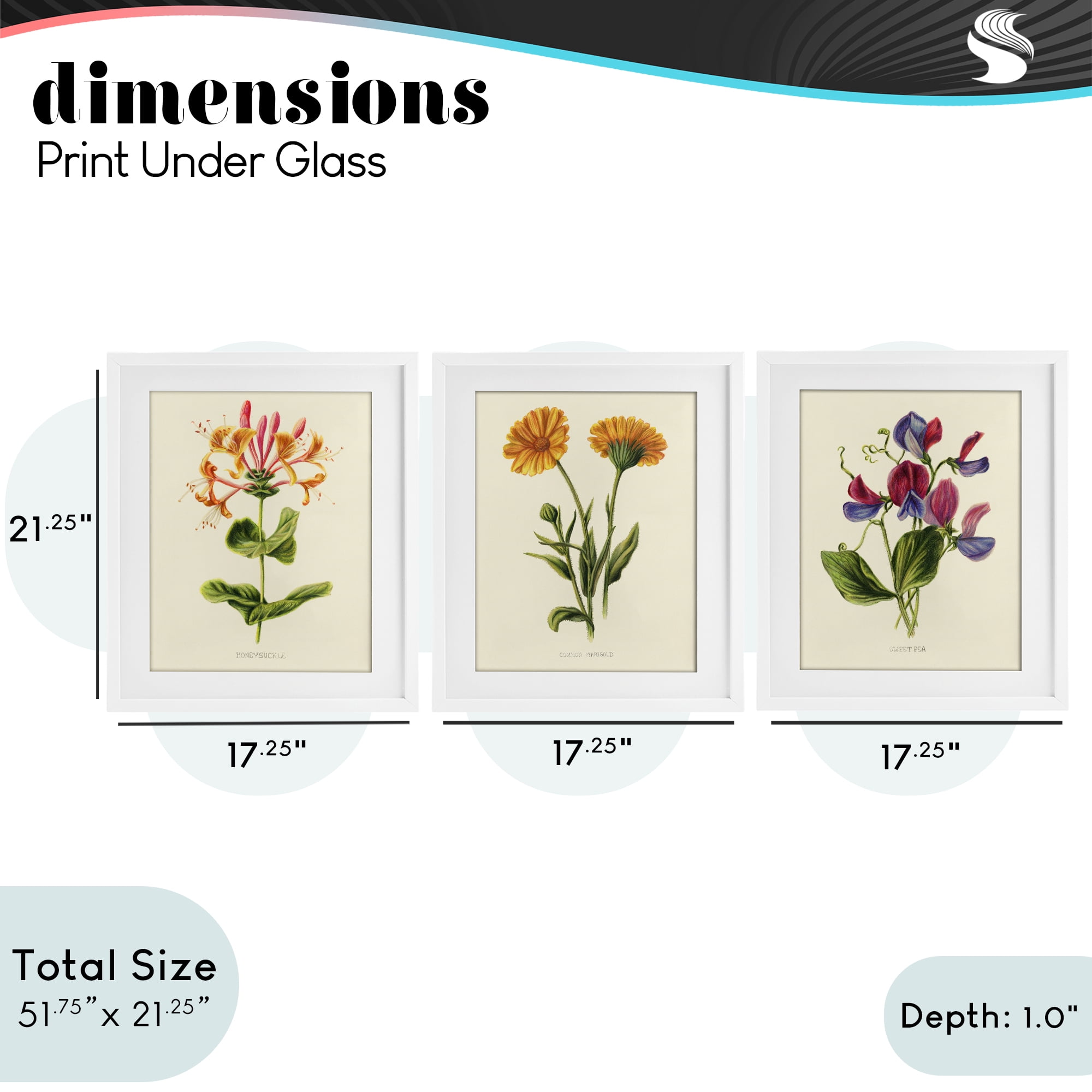 Stupell Industries Flowering Plants Vintage Illustration 3 Piece White Framed Print Under Glass Set, design by Connie Resch