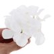 thumbnail image 5 of BESTYASH 12Ud Flores De Seda Hidrangea Artificial Para De Bodas Y Eventos Especiales, 5 of 6