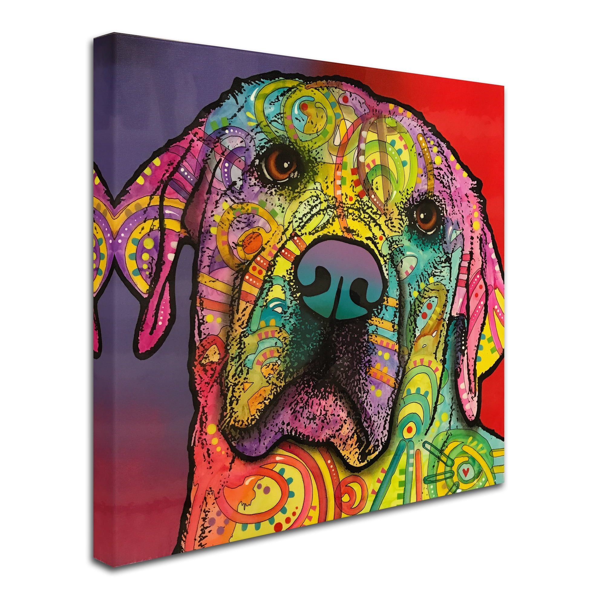 Trademark Fine Art 'Starry Lab' Canvas Art by Dean Russo