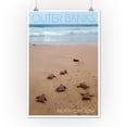 thumbnail image 2 of Outer Banks, North Carolina, Sea Turtles Hatching (12x18 Wall Art Poster, Room Decor), 2 of 3