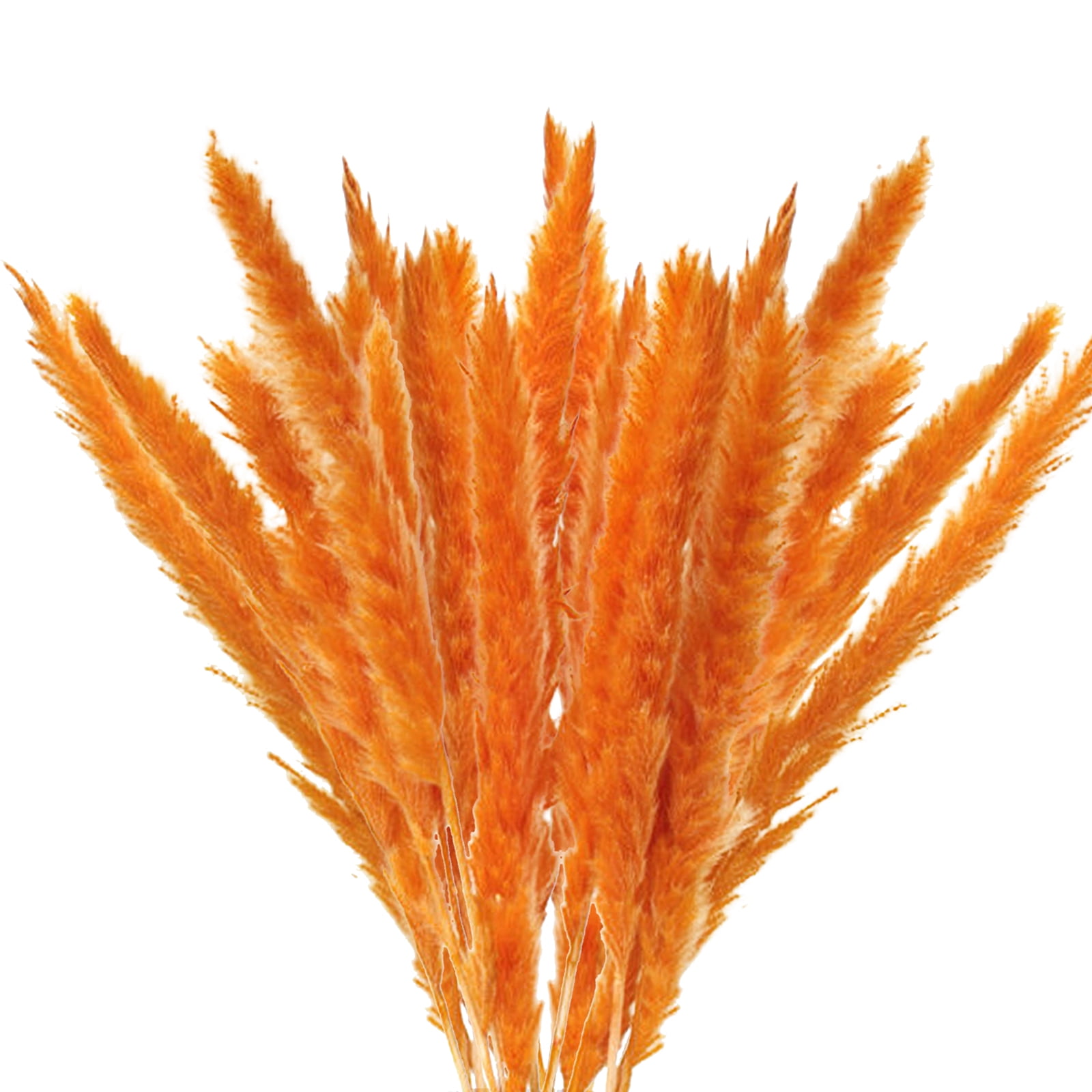 Bojue Simulation Artificial Pampas Grass Flowers Living Room Furnishings Wedding Arch Wall