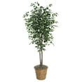 thumbnail image 2 of Vickerman TDX0260-RG 6 ft. Variegated Deluxe Round Grey Container Decorative Plant, Green & White, 2 of 2