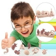 thumbnail image 2 of Human Organ Model Set Educational Science Toy For Kids 8 Piece Anatomy Learning Kit Brain Heart Liver Stomach Intestine, 2 of 9