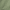 Green Tea, variant on Sofia Jeans Women's and Women's Plus Utility Blouse with Long Sleeves, Sizes XS-4X