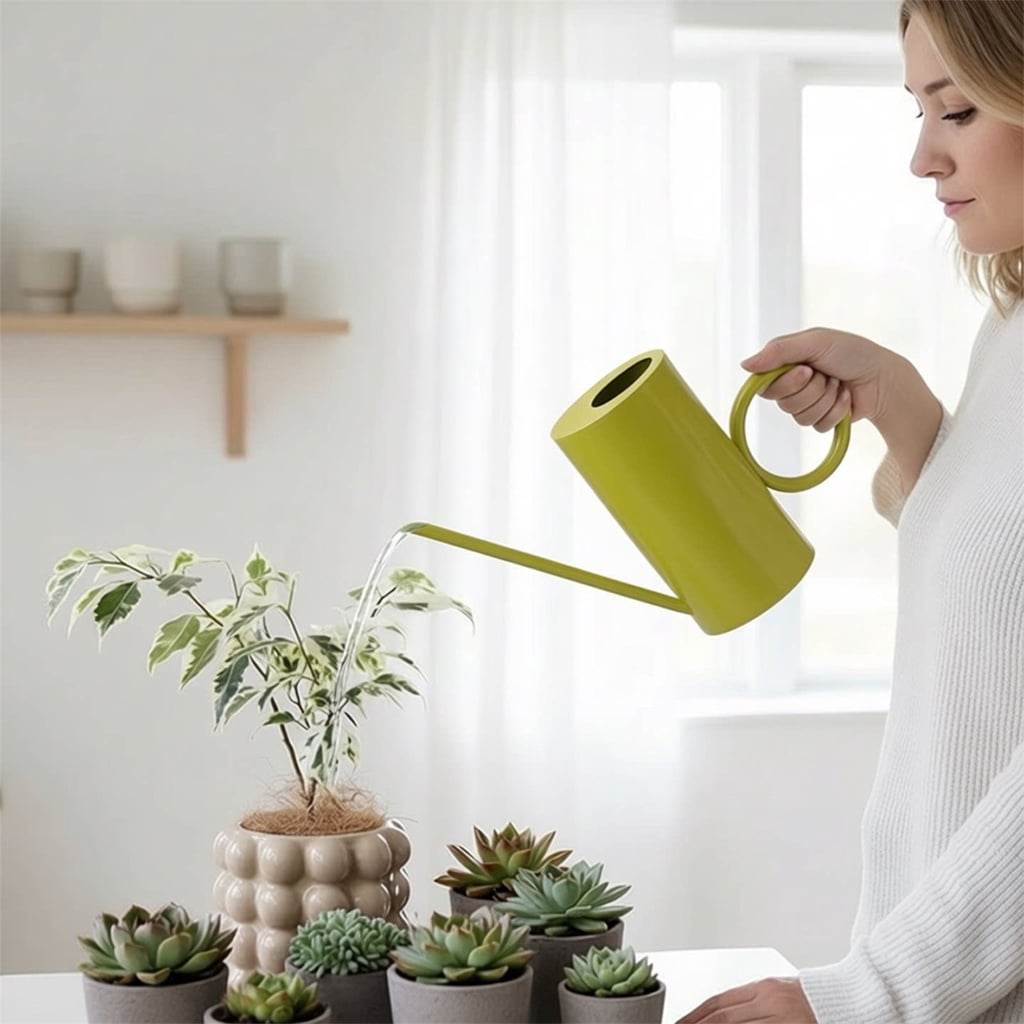 Small Watering Can for Indoor Plant Long Spout Watering Can for House Plant Flowers Succulents