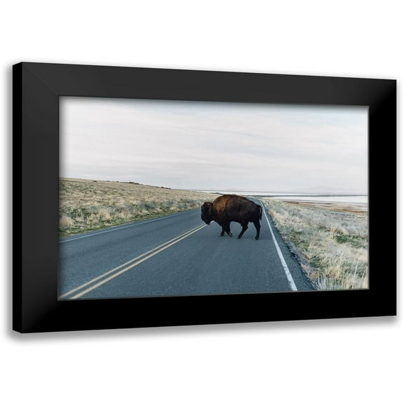 Victoria, Chelsea 14x11 Black Modern Framed Museum Art Print Titled - Bison Crossing