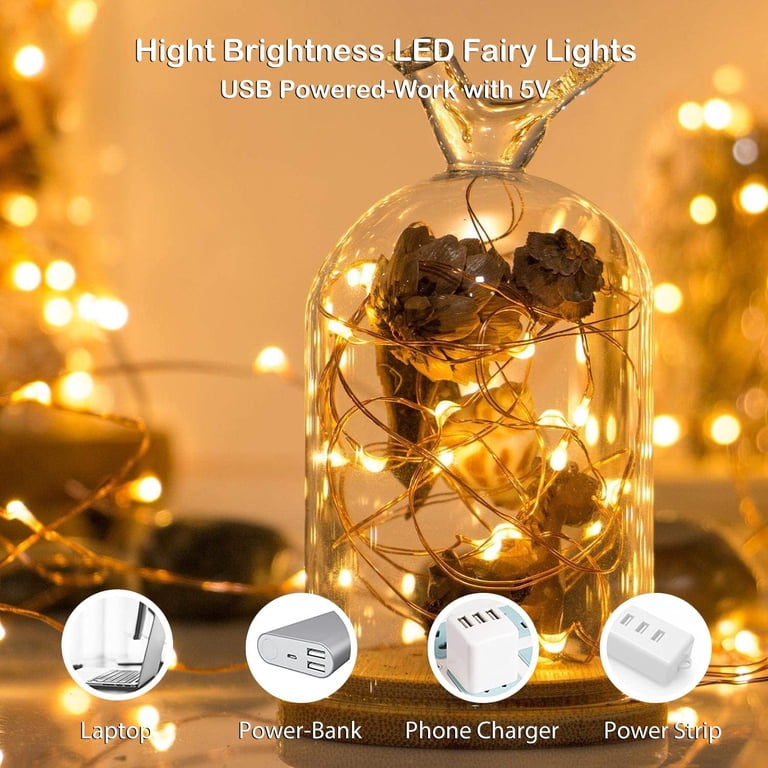 XINDUO-33 FT 100 LED Color Changing Battery Operated String Lights Waterproof, Warm White