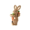 10.5" Rustic Brown Jute Easter Bunny Rabbit with Carrots and Shovel Spring Figure