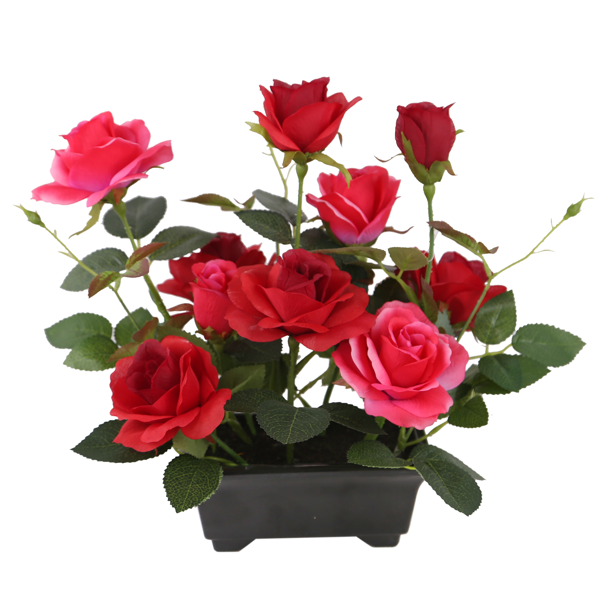 10" Potted Red Rose Flowers