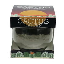 Buzzy Cactus Succulent Garden Terrarium Grow Kit