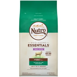 Nutro wholesome essentials puppy lamb hot sale