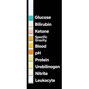 10-Parameters Urine Analysis 5-Test Pack to check for the healthy state of the body. An easy simple to use self-test at home up to 5 times