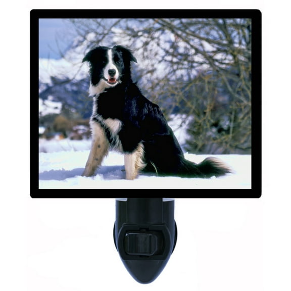 Night Light - Border Collie. | Dog Theme, Includes Free Switchable Insert, 4W Bulb, E12 Base
