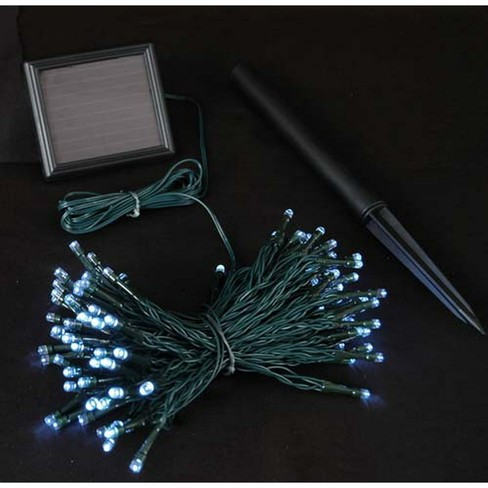 Novelty Lights 100 Light Solar LED Christmas Mini Light Set, Pure White