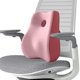 thumbnail image 1 of Cojín de espuma viscoelástica para la espalda, cojín para silla con respaldo bajo, mejora la postura al sentarse en el sofá, el coche, la conducción y Rosa, 1 of 8