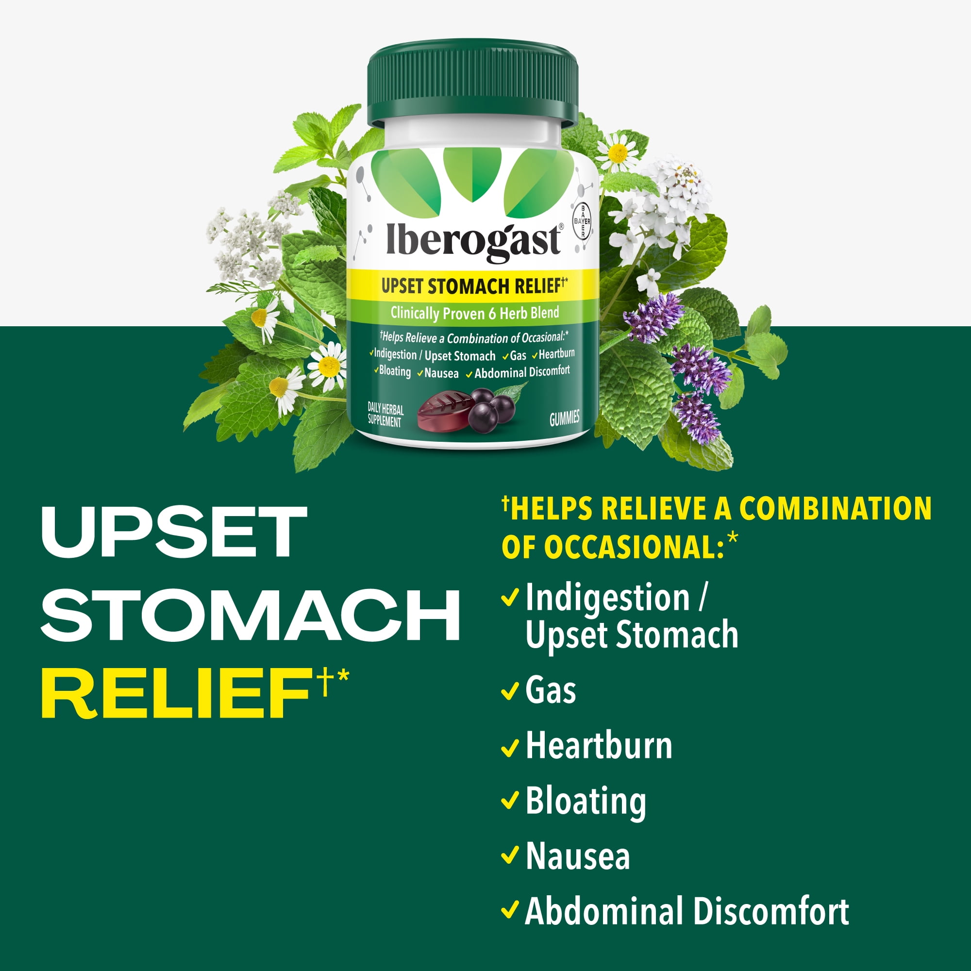 Iberogast Gummies for Occasional Upset Stomach Relief, 30ct, Allergen-Free