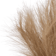 thumbnail image 2 of Bouclair Red Artificial Reed Grass in Ceramic Pot 9.75 X 17.75 in (25 X 45 cm), 2 of 8