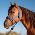 thumbnail image 3 of Nylon Rope Combination Halter, 3 of 4