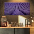 thumbnail image 1 of Blooming Lavender Flower Texture - Landscape Canvas Art Print, 1 of 3