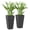Black, variant on Set of 2 Tall 23" Planters, PP Plastic with Drainage Holes, UV-Resistant, for Front Door, Patio, Garden, Black