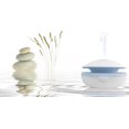 FLORET by Simply Diffusers USB, Battery Operated and AC Adapter