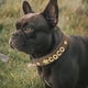 thumbnail image 5 of Custom Leather Dog Collar Personalized Dogs Name Collars Bling Rhinestone Pet Necklace DIY Name Free Bone Paw Heart Charm ShopWise Round, 5 of 10