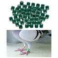 thumbnail image 2 of Qualitchoice 100Pcs 2022 Aluminium Dove Racing Pigeon Foot Rings Bands Small Poultry 8mm Green, 2 of 8