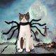 thumbnail image 4 of 26EDIE Dog Disfraz De Araña De Halloween , Traje Cosplay Para Perros Suaves Negros , Decorativo Con Cinta Mágica Simulación Corta De Felpa Gato Vestir, 4 of 4