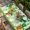 Green, variant on St. Patrick's Day Table Cloths for 8 Foot Rectangle Tables, Lucky Shamrock Gnomes Flowers Leaves Green Patio Waterproof Elastic Fitted Tablecloths, Washable Rectangular Table Cover for Camping