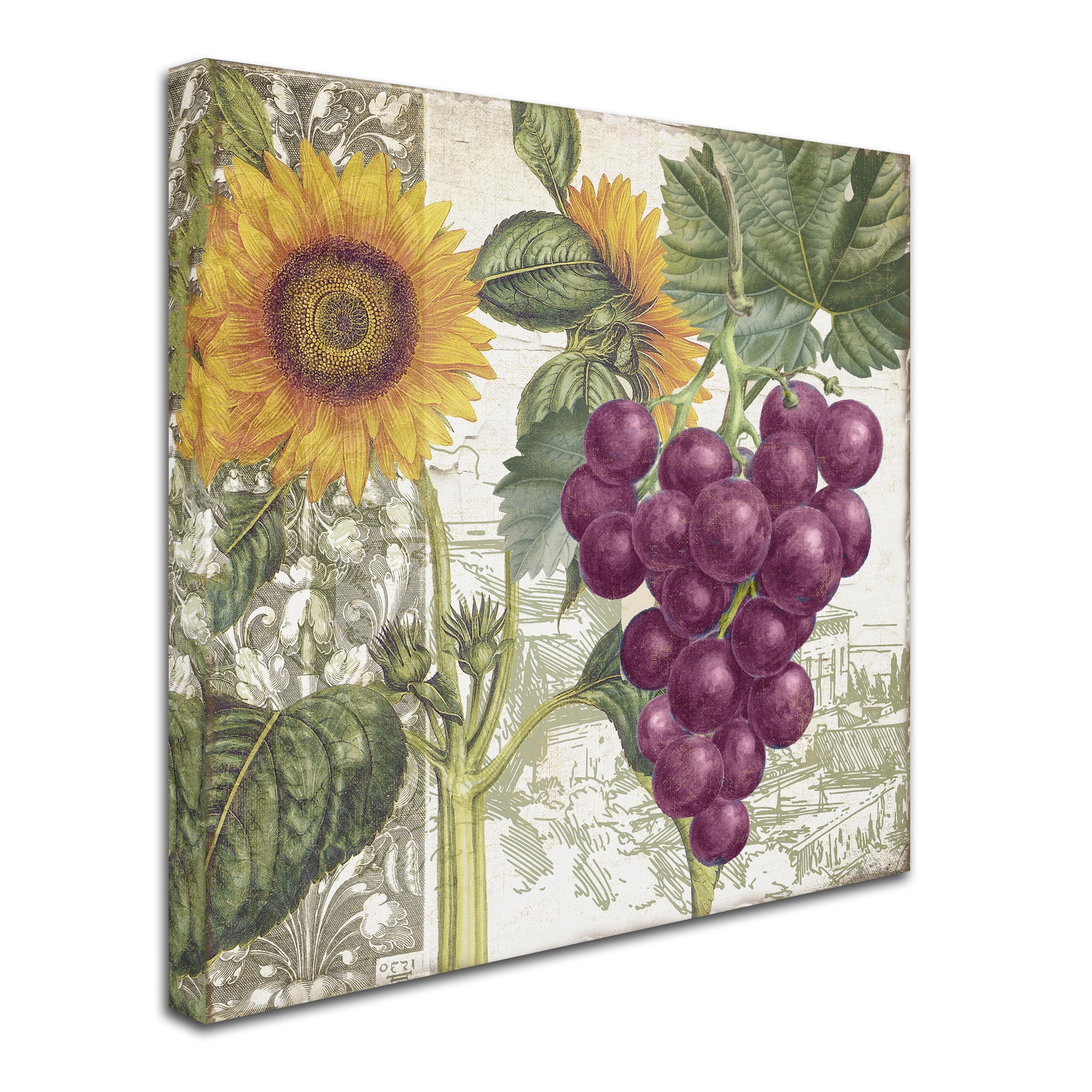 Trademark Fine Art "Dolcetto II" Canvas Art by Color Bakery