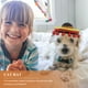 thumbnail image 5 of GOOHOCHY 3 sombreros decorativos para mascotas, estilo mexicano, disfraces para mascotas, 5 of 7
