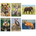thumbnail image 4 of Aquapaintings™ Easy Pack, 4 of 8