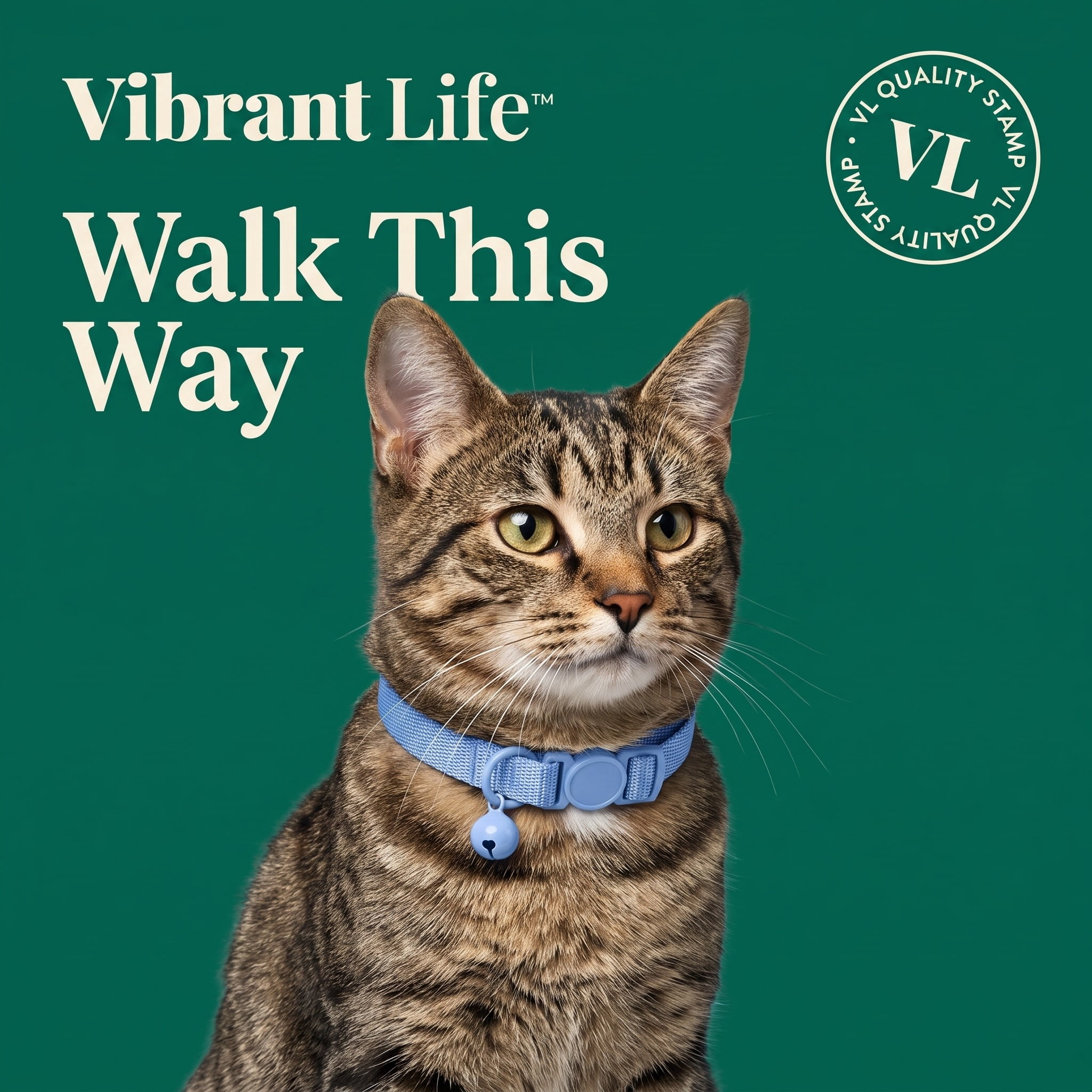 Vibrant Life Break-Away Adjustable Cat Collar, Blue