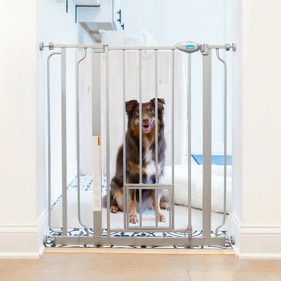 Carlson Extra Tall Walk-Through Pet Gate, Platinum, 36" H x 29"-36.5" L, with 4-inch Extension, Includes Pressure and Wall Mount Kits