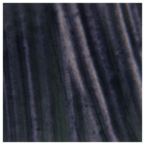 R&F Peintures Artisanales 212E R&F Bâtons de PIGMENT 38ML Gris PAYNES