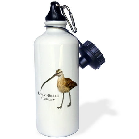 

3dRose Long-Billed Curlew Shorebird Sports Water Bottle 21oz