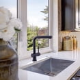thumbnail image 6 of Lulani Nassau Stainless Steel 1-Handle Pull-Out Kitchen Faucet (No Spray Feature) - Steel Black, 6 of 8