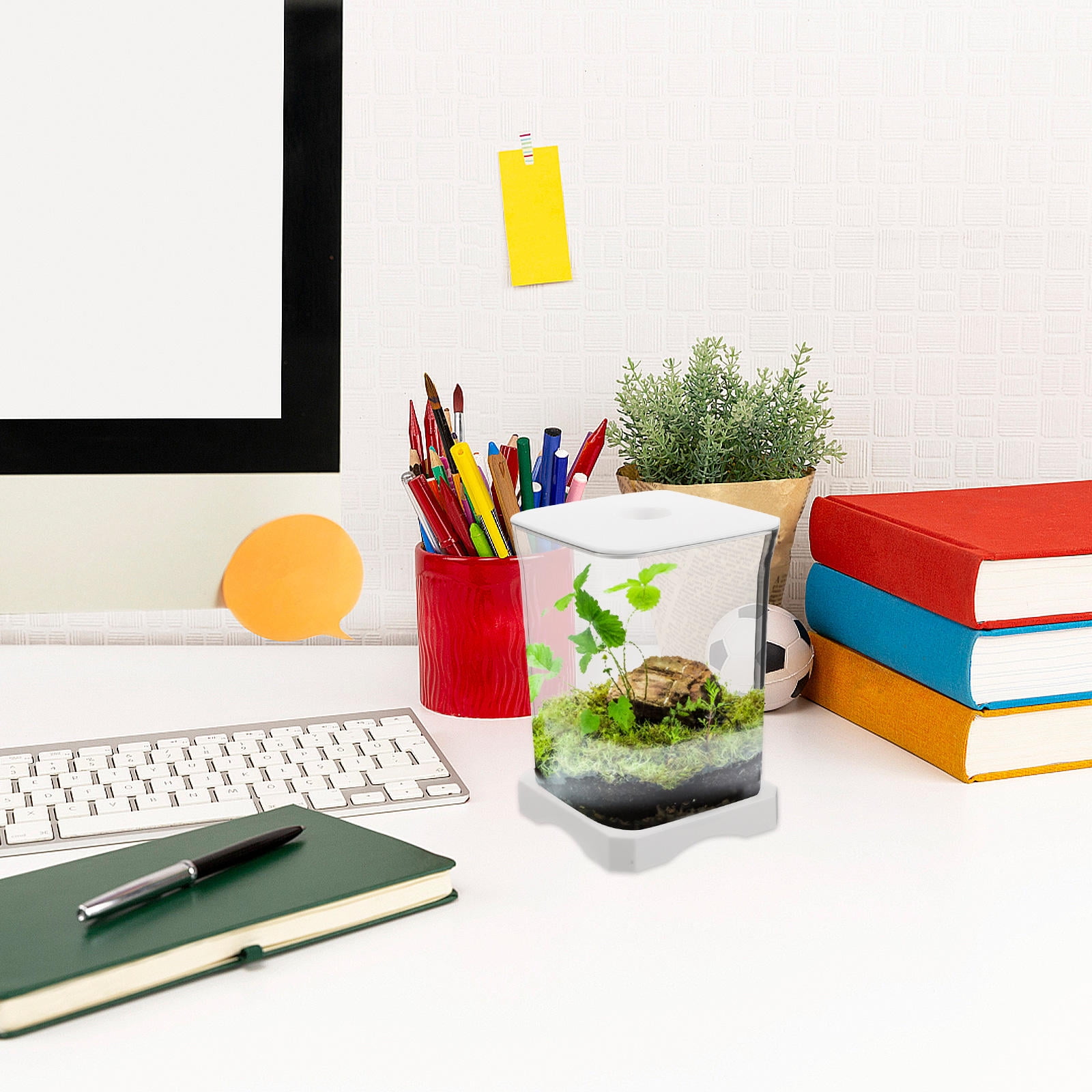 POPETPOP Clear Plastic Desk Aquarium for Betta Fish with Compact Design and Easy Cleaning
