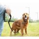 thumbnail image 2 of Faux Nylon Dog Leash Comfortable Padded Handle Thick Leash for Small Large Dogs 6/15/23/33 Ref: 3890, 2 of 5
