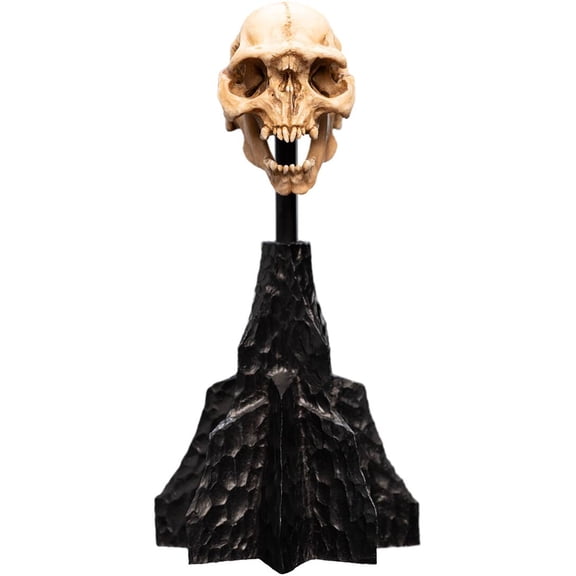 WETA Workshop Polystone - The Lord of the Rings Trilogy - Skull of a Moria Orc Polystone Statue, Weta Workshop, Gifts