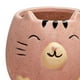 thumbnail image 4 of 2x Macetas Para Suculentas Con Orificio De Drenaje Para Escritorio Rosa + rosa+verde Sharpla Ollas, 4 of 8
