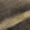 Honey, variant on Addison Rugs Mayfield Premium Machine Washable Transitional Botanical Wheat Rectangle Rug, 10' x 14'