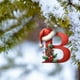 thumbnail image 4 of Uuiauoio Alphabet Letters Christmas Ornament,Christmas Letters Ornaments A to Z Ornament Letters Decorative Hanging Xmas Alphabet Letters for Christmas Tree(B), 4 of 6