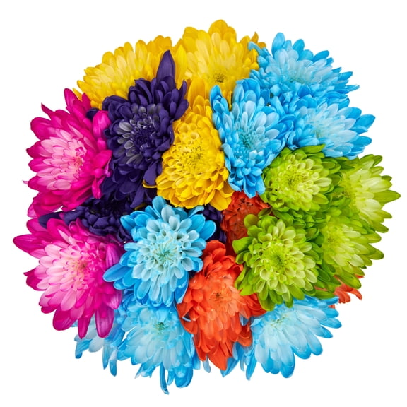 Painted Cushion Poms Flower Bunch Small, Colors May Vary