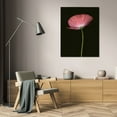 thumbnail image 3 of Vitaly Geyman 13x18 Gallery Wrapped Canvas Wall Art Titled - Pink Poppy I, 3 of 4